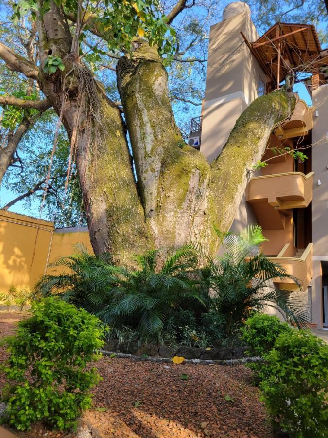 Апарт отель Real Guanacaste Сан-Педро-Сула Экстерьер фото